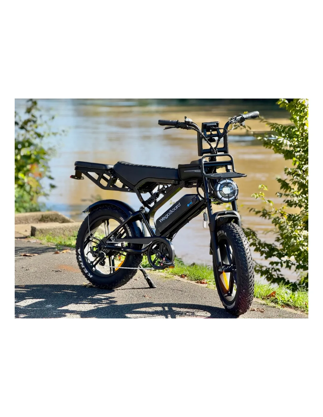 Rover pro Zweisitzer cargo Elektrofahrrad - Image 13