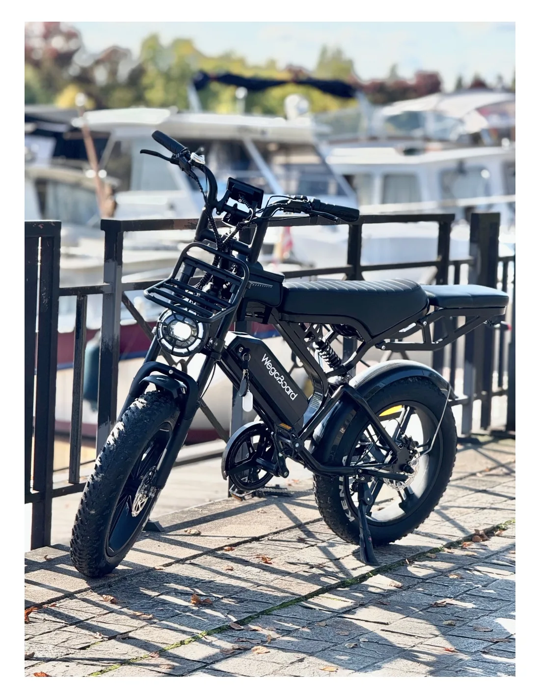 Rover pro Zweisitzer cargo Elektrofahrrad - Image 15