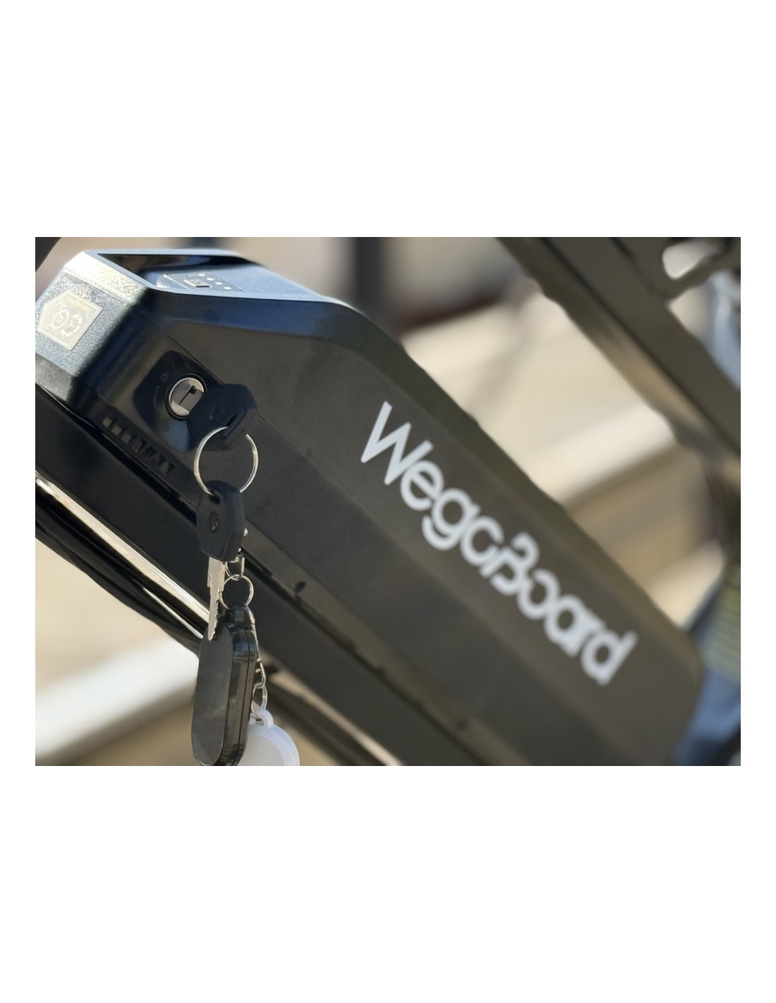 Rover pro Sport Zweisitzer cargo Elektrofahrrad - Image 2